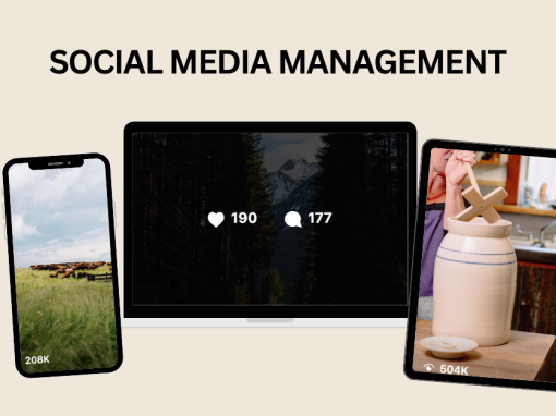 Social Media Management